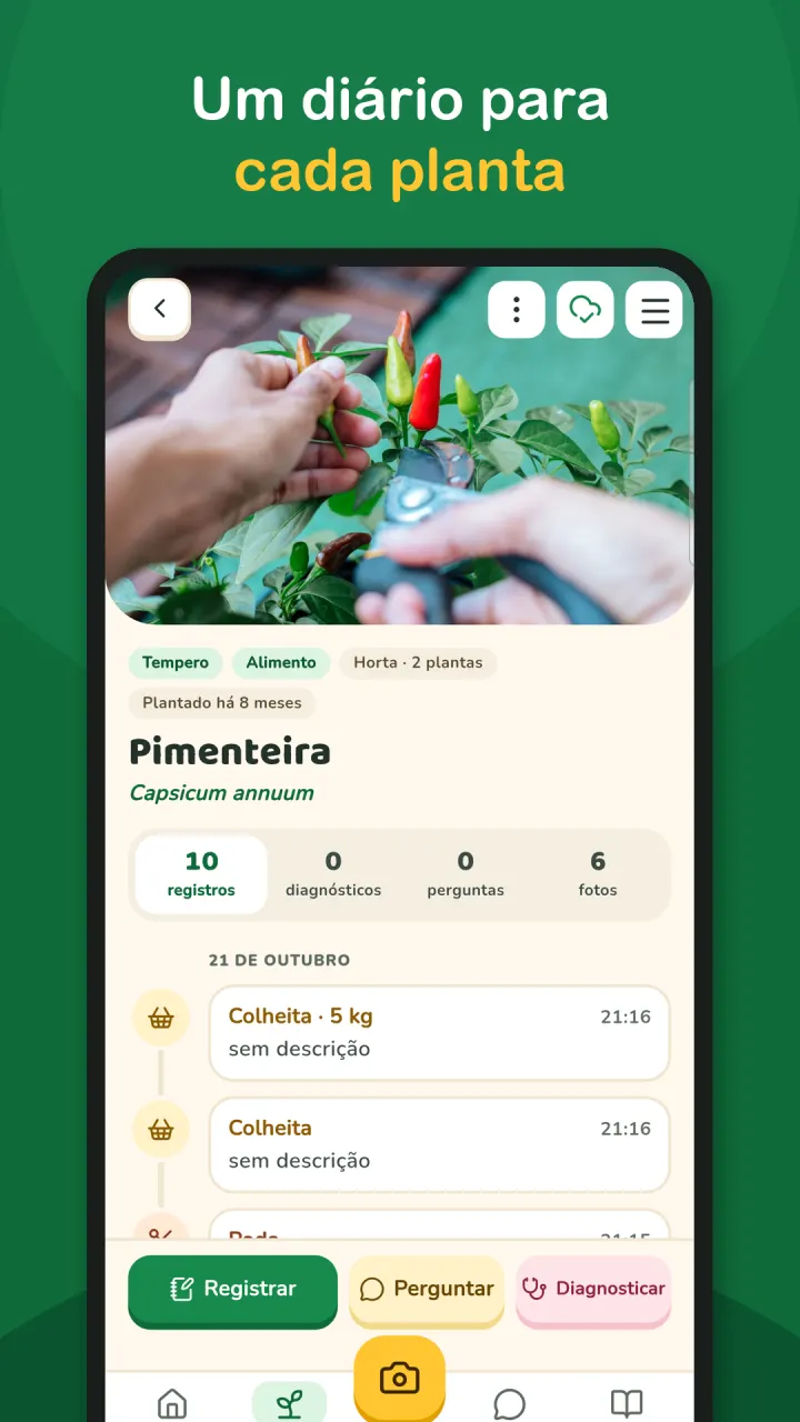 Um diário para cada planta