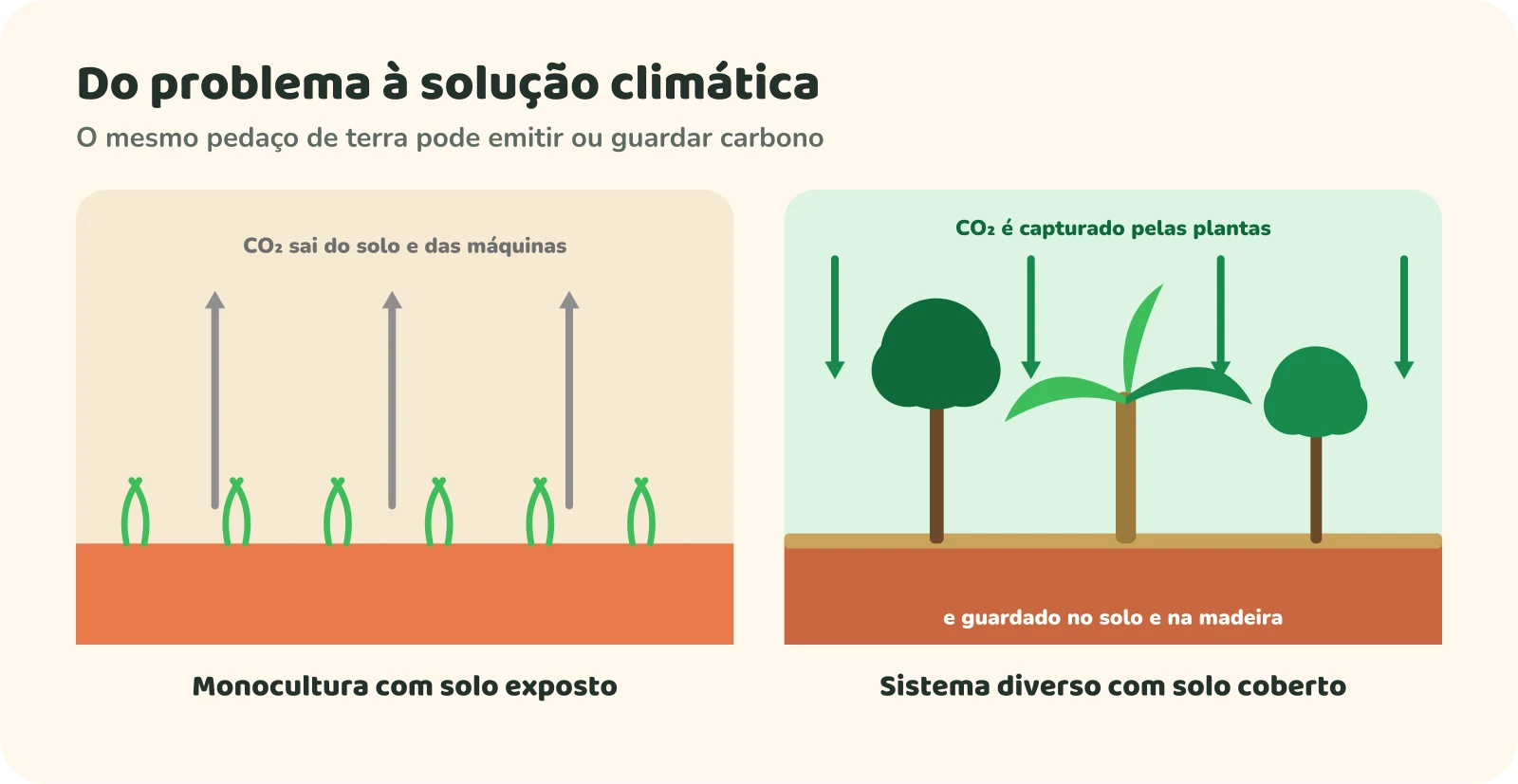 Dois cenários lado a lado: à esquerda, uma monocultura com solo exposto, com setas cinzas mostrando gás carbônico saindo do solo e das máquinas; à direita, um sistema diverso com árvores, bananeira e solo coberto, com setas verdes mostrando o gás carbônico sendo capturado pelas plantas e guardado no solo e na madeira.