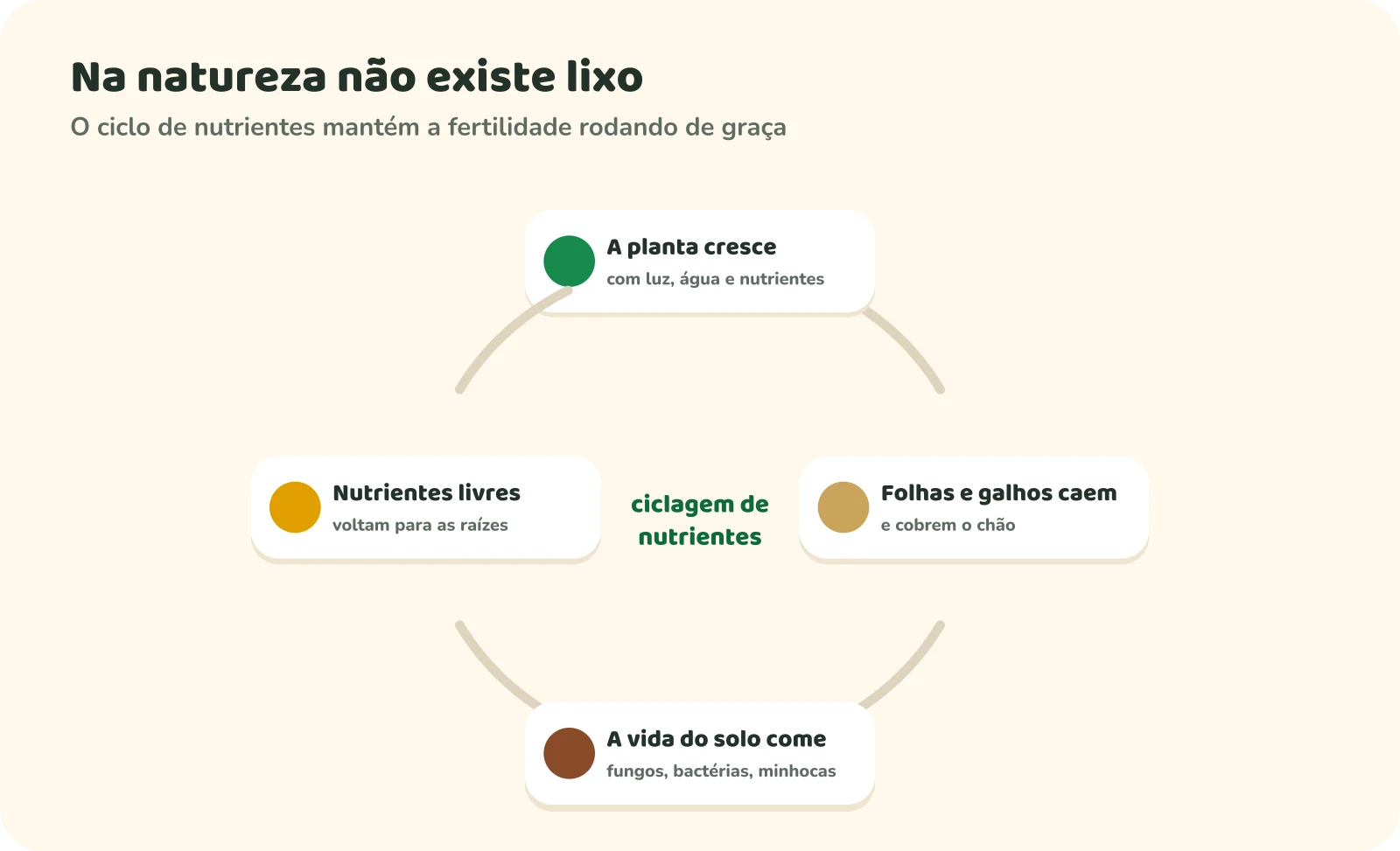 Ciclo de nutrientes: a planta cresce com luz, água e nutrientes; folhas e galhos caem e cobrem o chão; a vida do solo, como fungos, bactérias e minhocas, decompõe esse material; os nutrientes liberados voltam para as raízes.