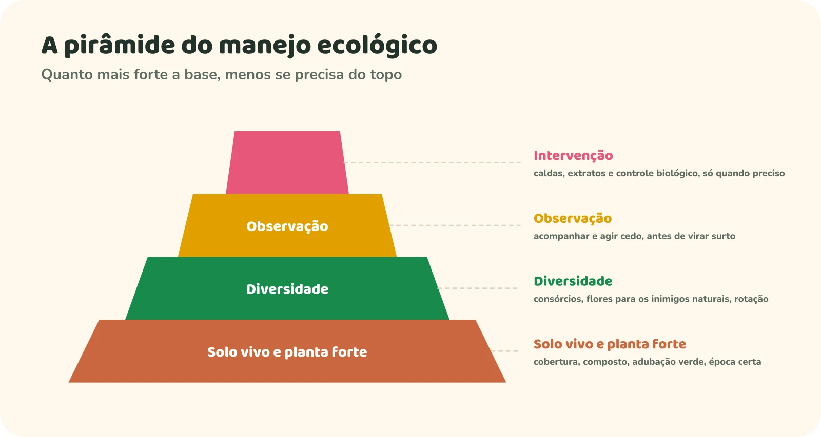 Pirâmide do manejo ecológico: na base, solo vivo e planta forte (cobertura, composto, adubação verde, época certa); acima, diversidade (consórcios, flores para os inimigos naturais, rotação); depois, observação (acompanhar e agir cedo); no topo, pequeno, intervenção (caldas, extratos e controle biológico, só quando preciso).