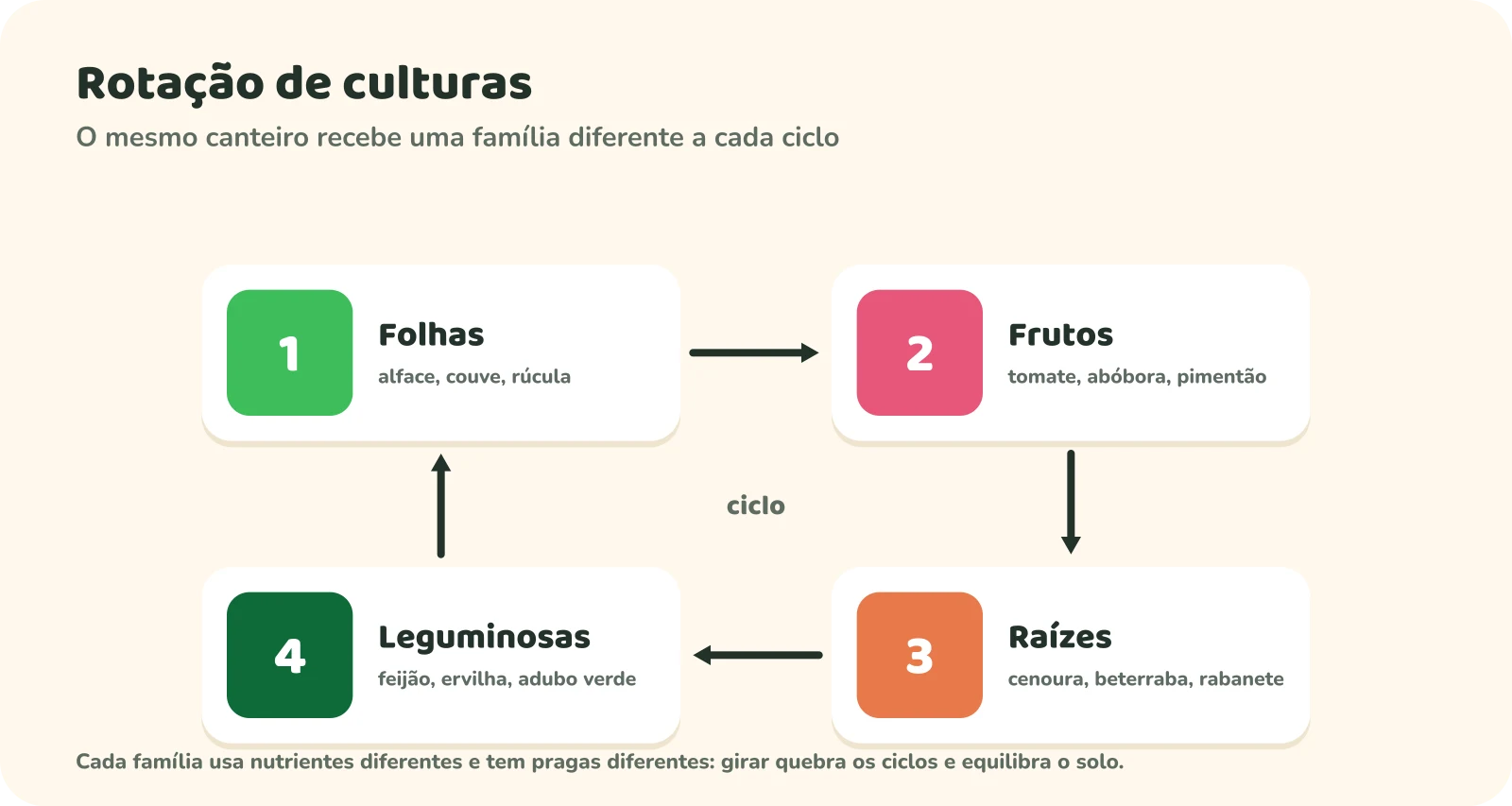 Rotação de culturas em quatro etapas no mesmo canteiro: 1, folhas (alface, couve, rúcula); 2, frutos (tomate, abóbora, pimentão); 3, raízes (cenoura, beterraba, rabanete); 4, leguminosas (feijão, ervilha, adubo verde); depois o ciclo recomeça.