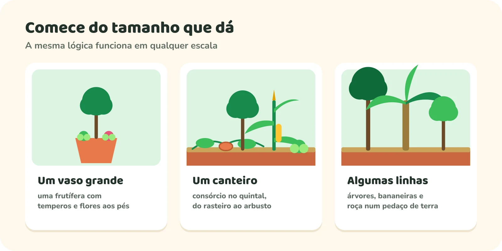 Três escalas para começar uma agrofloresta: um vaso grande com uma frutífera e temperos e flores aos pés; um canteiro consorciado no quintal, do rasteiro ao arbusto; e algumas linhas com árvores, bananeiras e roça num pedaço de terra.