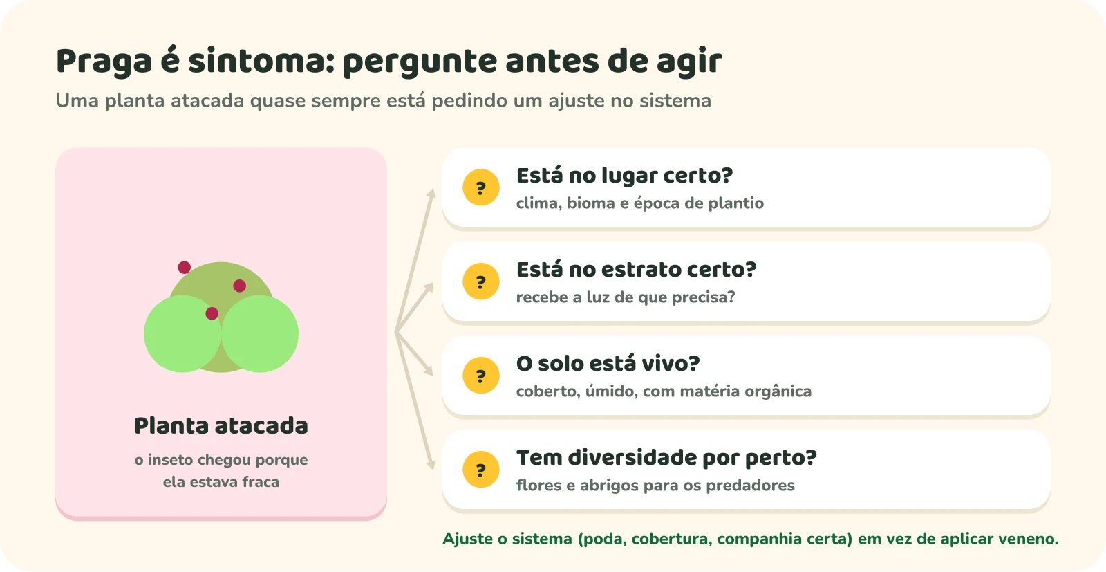 Diagrama: uma planta atacada por insetos, com quatro perguntas a fazer antes de agir: está no lugar certo (clima, bioma, época de plantio)? Está no estrato certo (recebe a luz de que precisa)? O solo está vivo (coberto, úmido, com matéria orgânica)? Tem diversidade por perto (flores e abrigos para os predadores)?