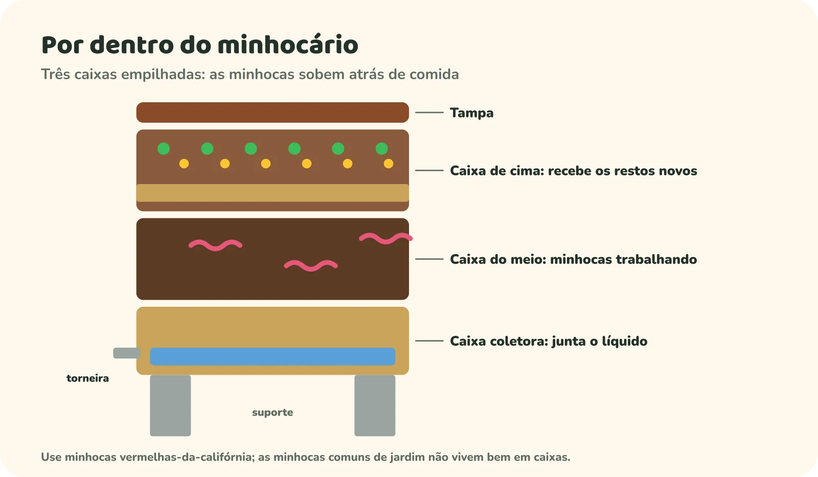 Corte de um minhocário com três caixas empilhadas sobre um suporte: tampa; caixa de cima, que recebe os restos novos cobertos com matéria seca; caixa do meio, onde as minhocas terminam o trabalho; caixa coletora no fundo, que junta o líquido e tem uma torneira. Use minhocas vermelhas-da-califórnia.