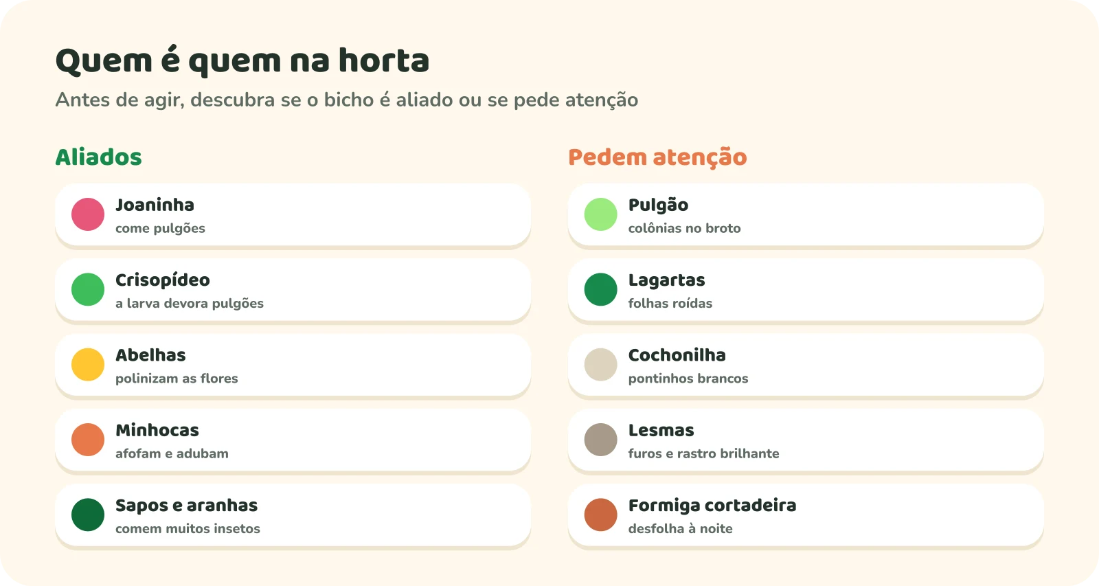 Quem é quem na horta. Aliados: joaninha, que come pulgões; crisopídeo, cuja larva devora pulgões; abelhas, que polinizam; minhocas, que afofam e adubam; sapos e aranhas, que comem muitos insetos. Pedem atenção: pulgão, em colônias nos brotos; lagartas, que roem folhas; cochonilha, como pontinhos brancos; lesmas, com furos e rastro brilhante; formiga cortadeira, que desfolha à noite.