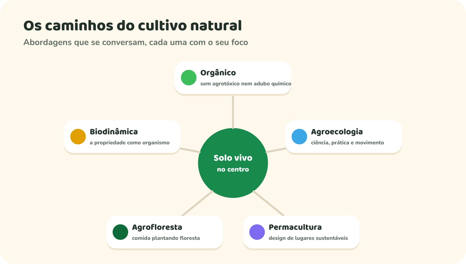 Os caminhos do cultivo natural, com o solo vivo no centro e cinco abordagens ao redor: orgânico, sem agrotóxico nem adubo químico; agroecologia, ciência, prática e movimento; permacultura, design de lugares sustentáveis; agrofloresta, comida plantando floresta; biodinâmica, a propriedade como organismo.