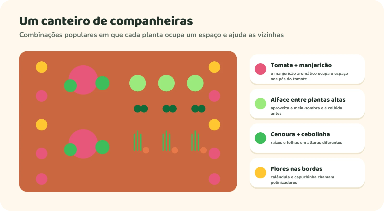 Vista de cima de um canteiro de companheiras: tomates com manjericão aos pés, alfaces entre plantas mais altas, cenouras com cebolinha e flores como calêndula e capuchinha nas bordas.