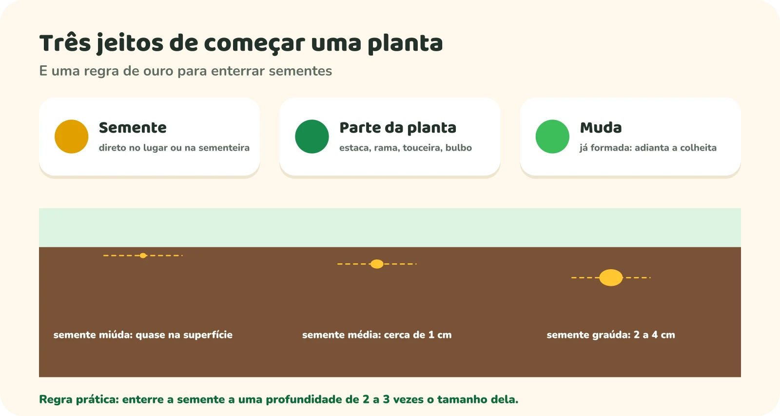 Três jeitos de começar uma planta: semente, direto no lugar ou na sementeira; parte da planta, como estaca, rama, touceira ou bulbo; muda já formada, que adianta a colheita. Abaixo, um corte do solo mostra a profundidade das sementes: miúda quase na superfície, média a cerca de 1 cm e graúda a 2 a 4 cm. Regra prática: enterrar a 2 a 3 vezes o tamanho da semente.