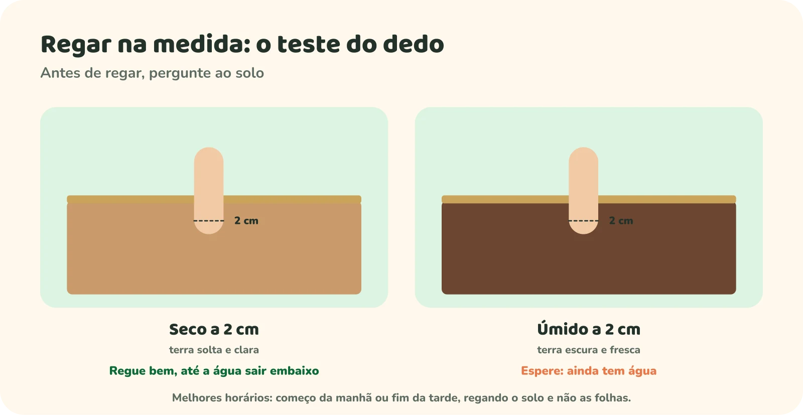 Teste do dedo: enfie o dedo cerca de 2 cm na terra. Se estiver seco, com terra solta e clara, regue bem até a água sair por baixo. Se estiver úmido, com terra escura e fresca, espere, porque ainda tem água. Melhores horários: começo da manhã ou fim da tarde, regando o solo e não as folhas.