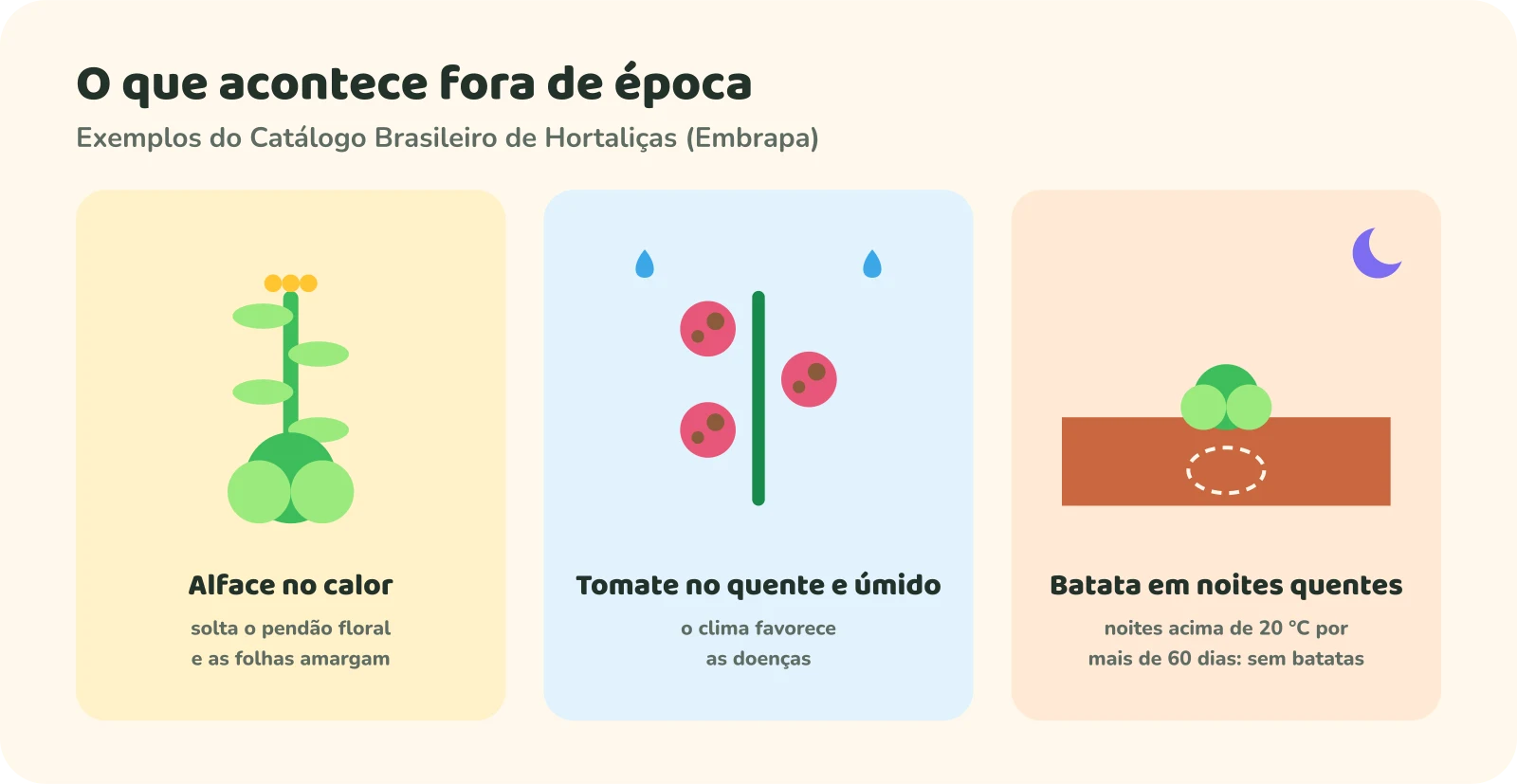 Três exemplos. Alface no calor: solta o pendão floral e as folhas amargam. Tomate no quente e úmido: o clima favorece as doenças. Batata em noites quentes: noites acima de 20 °C por mais de 60 dias, e a planta não forma batatas.