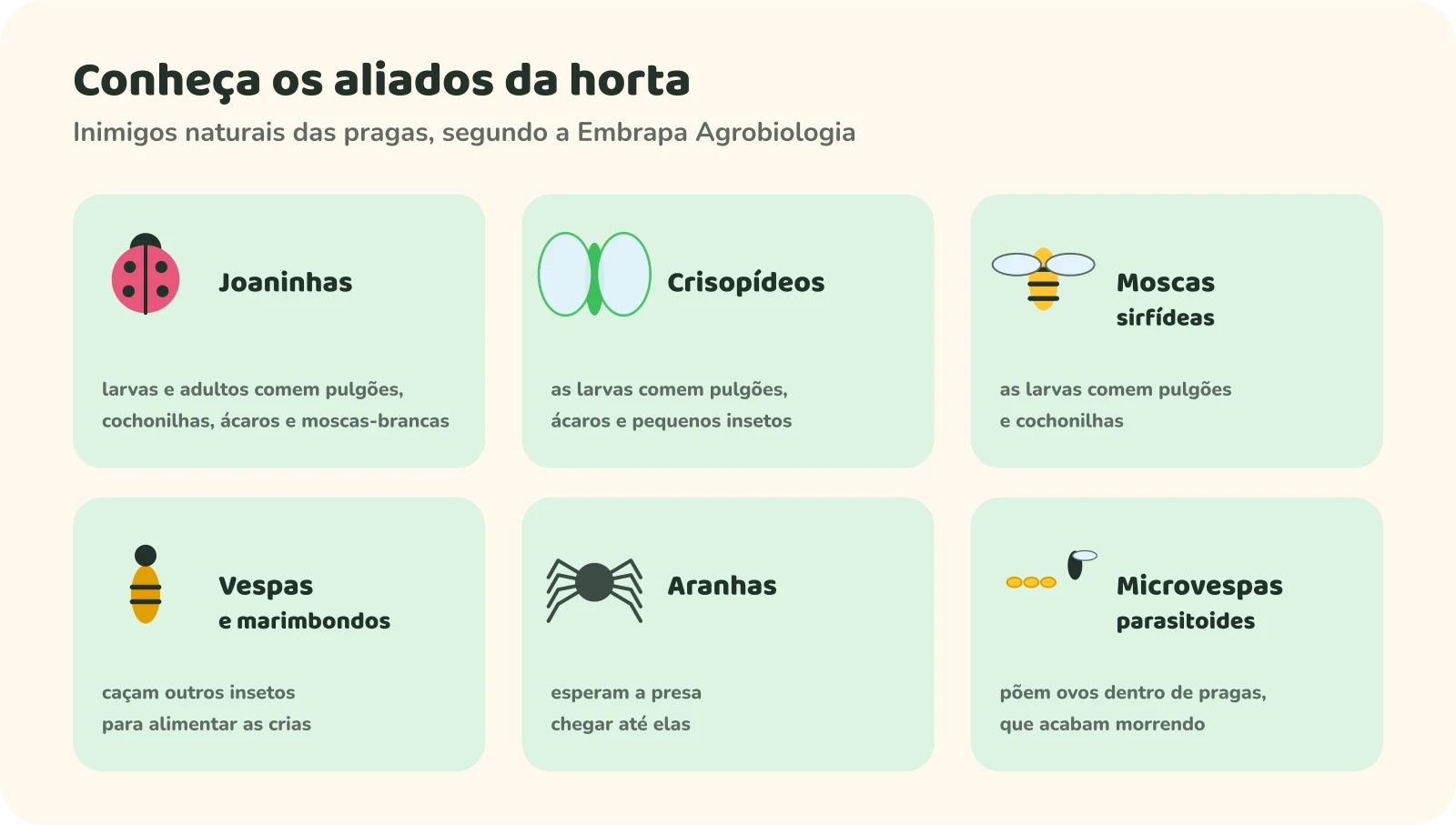Seis cartões. Joaninhas: larvas e adultos comem pulgões, cochonilhas, ácaros e moscas-brancas. Crisopídeos: as larvas comem pulgões, ácaros e pequenos insetos. Moscas sirfídeas: as larvas comem pulgões e cochonilhas. Vespas e marimbondos: caçam outros insetos para alimentar as crias. Aranhas: esperam a presa chegar até elas. Microvespas parasitoides: põem ovos dentro de pragas, que acabam morrendo.