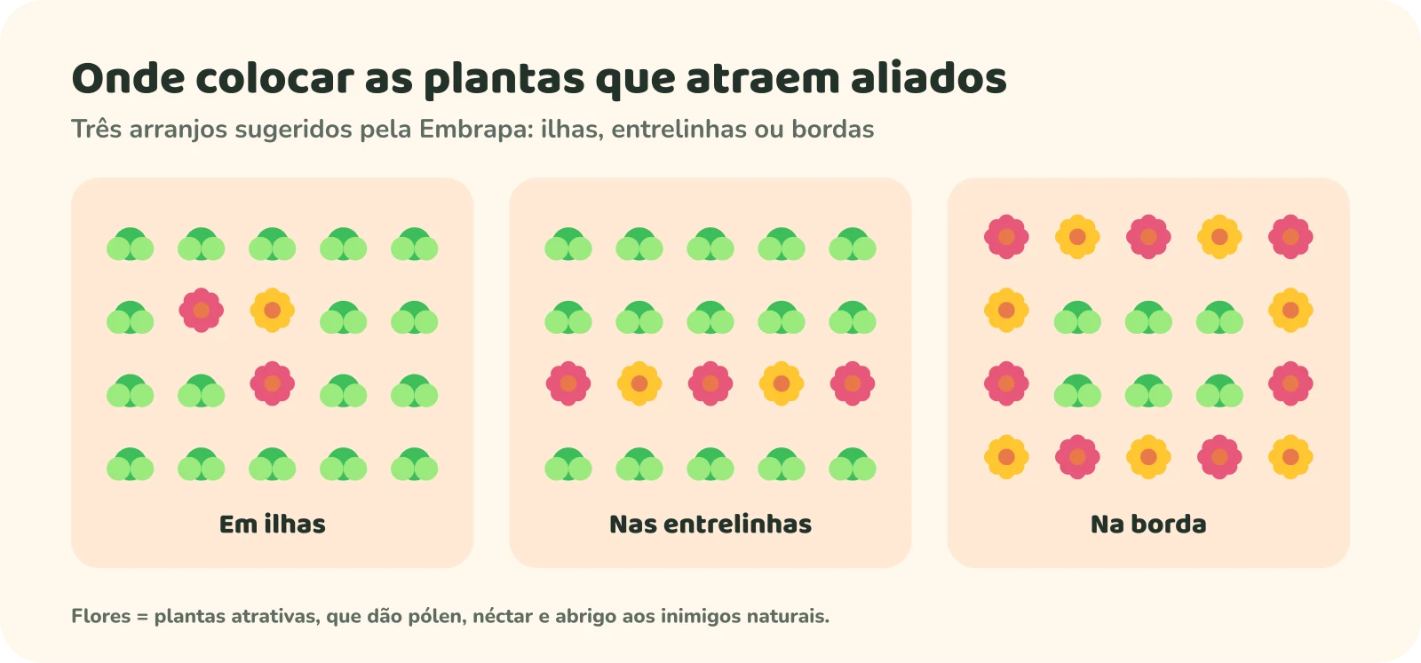 Três canteiros vistos de cima. Em ilhas: um grupo de flores no meio das hortaliças. Nas entrelinhas: uma fileira de flores entre fileiras de hortaliças. Na borda: flores em volta de todo o canteiro.