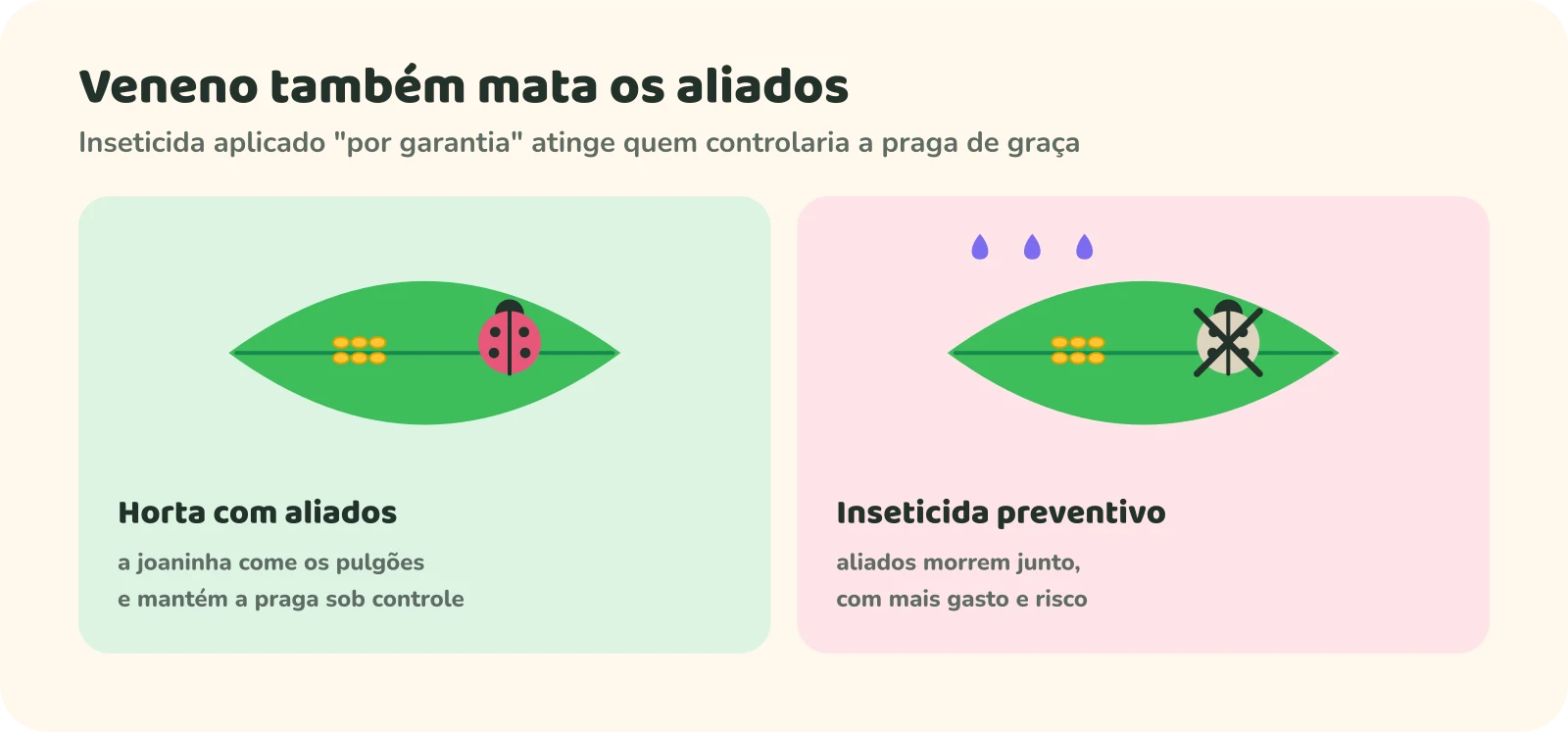 Dois painéis com uma folha com pulgões. Horta com aliados: a joaninha come os pulgões e mantém a praga sob controle. Inseticida preventivo: a joaninha morre junto, com mais gasto e risco.