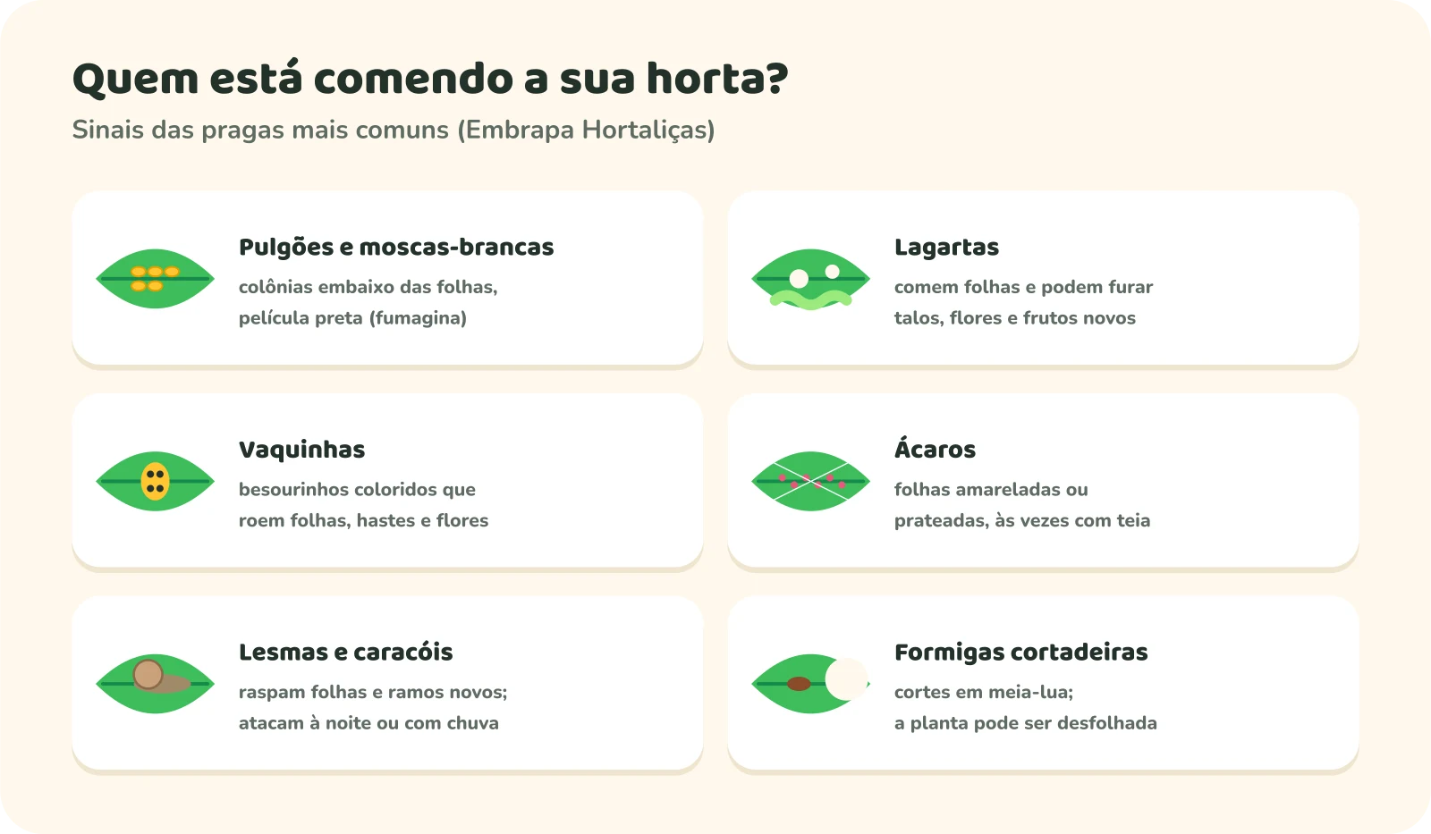 Seis cartões de pragas e seus sinais. Pulgões e moscas-brancas: colônias embaixo das folhas e película preta, a fumagina. Lagartas: comem folhas e podem furar talos, flores e frutos novos. Vaquinhas: besourinhos coloridos que roem folhas, hastes e flores. Ácaros: folhas amareladas ou prateadas, às vezes com teia. Lesmas e caracóis: raspam folhas e ramos novos e atacam à noite ou com chuva. Formigas cortadeiras: cortes em meia-lua, e a planta pode ser desfolhada.