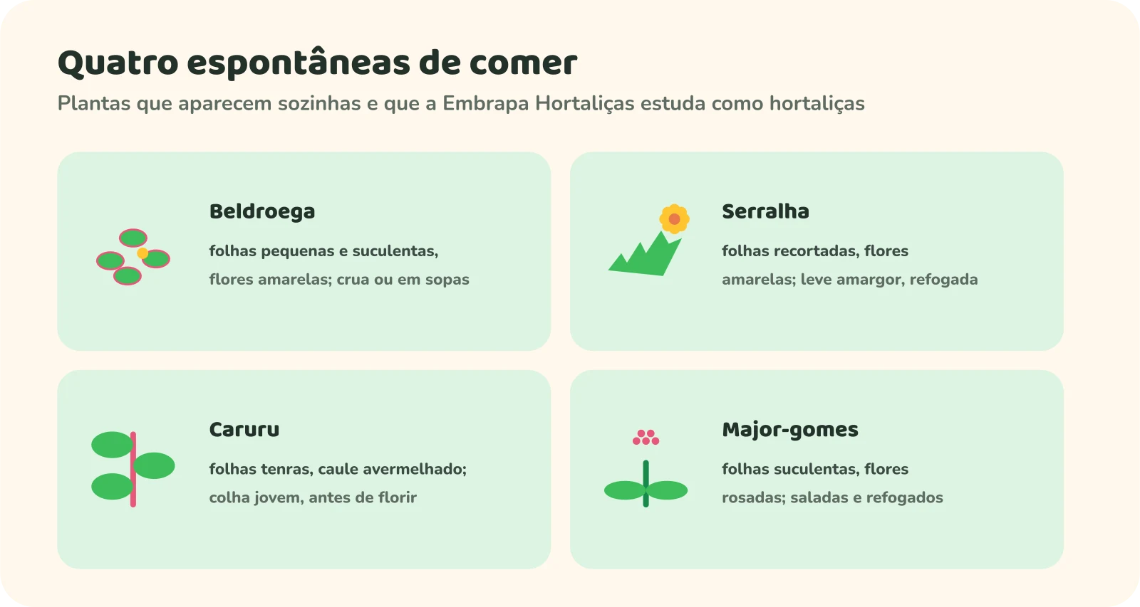 Quatro cartões. Beldroega: folhas pequenas e suculentas, flores amarelas; crua ou em sopas. Serralha: folhas recortadas, flores amarelas, leve amargor, refogada. Caruru: folhas tenras, caule avermelhado; colha jovem, antes de florir. Major-gomes: folhas suculentas, flores rosadas; saladas e refogados.