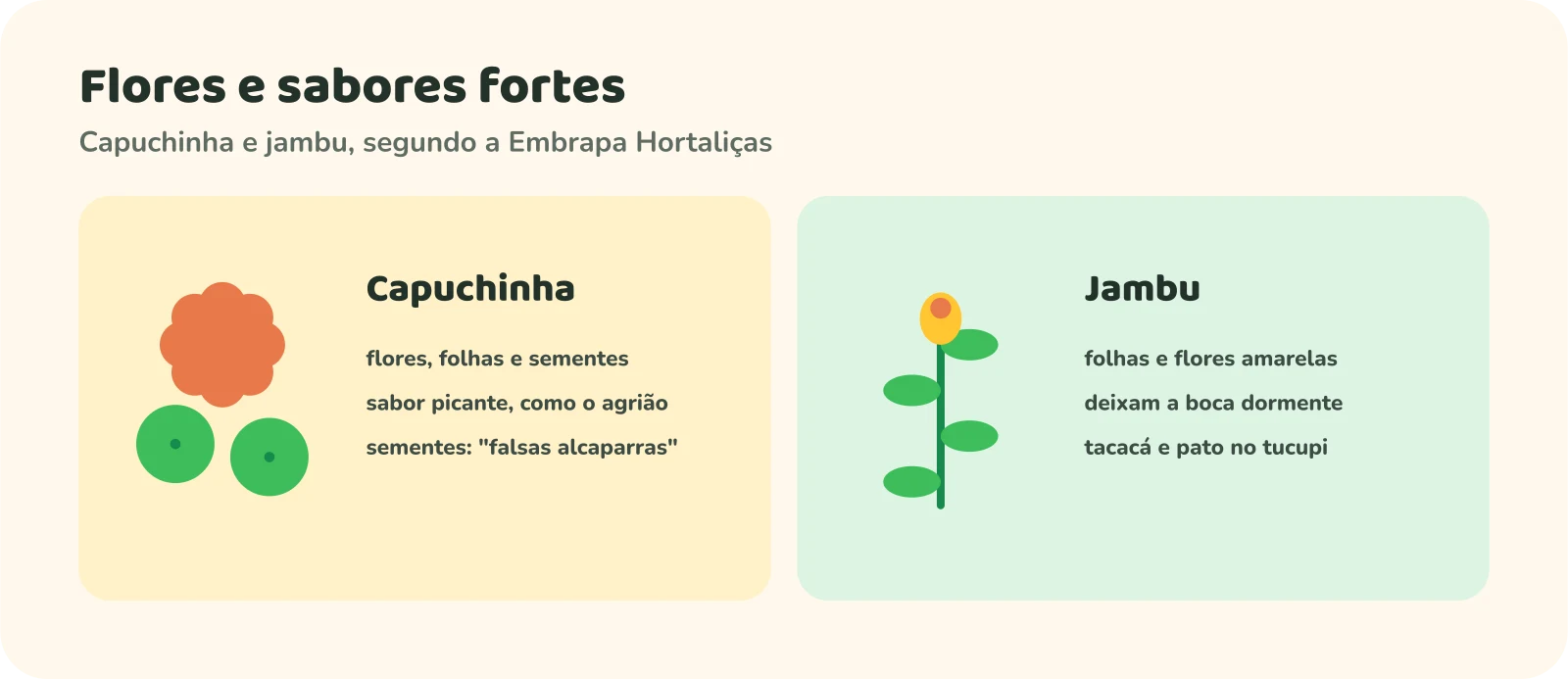 Dois quadros. Capuchinha: flores, folhas e sementes comestíveis, sabor picante como o agrião, sementes chamadas de falsas alcaparras. Jambu: folhas e flores amarelas que deixam a boca dormente, usadas no tacacá e no pato no tucupi.