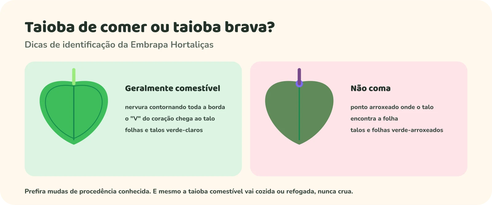 Duas folhas em forma de coração. Geralmente comestível: nervura contornando toda a borda, o V do coração chega ao talo, folhas e talos verde-claros. Não coma: ponto arroxeado onde o talo encontra a folha, talos e folhas verde-arroxeados. Nota: prefira mudas de procedência conhecida; mesmo a taioba comestível vai cozida ou refogada, nunca crua.