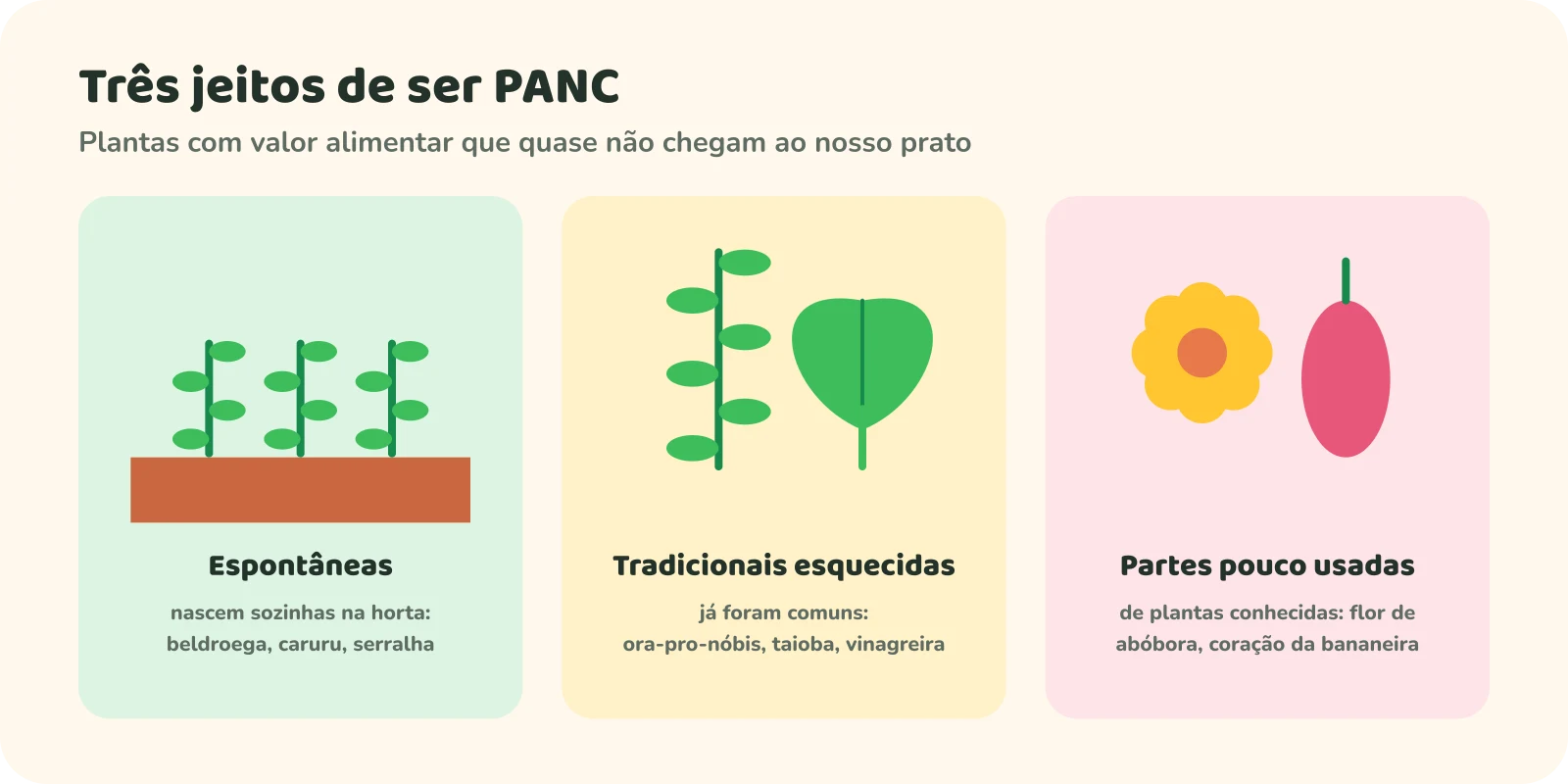 Três quadros. Espontâneas, que nascem sozinhas na horta: beldroega, caruru, serralha. Tradicionais esquecidas, que já foram comuns: ora-pro-nóbis, taioba, vinagreira. Partes pouco usadas de plantas conhecidas: flor de abóbora, coração da bananeira.