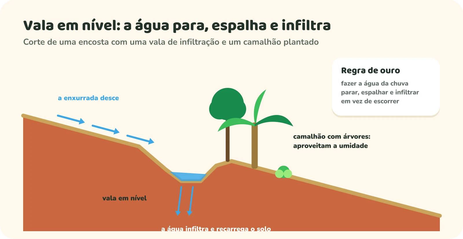 Corte de uma encosta: a enxurrada desce o morro e é parada por uma vala escavada em nível; a água se acumula na vala e infiltra no solo; logo abaixo, um camalhão com árvores, bananeira e hortaliças aproveita a umidade.