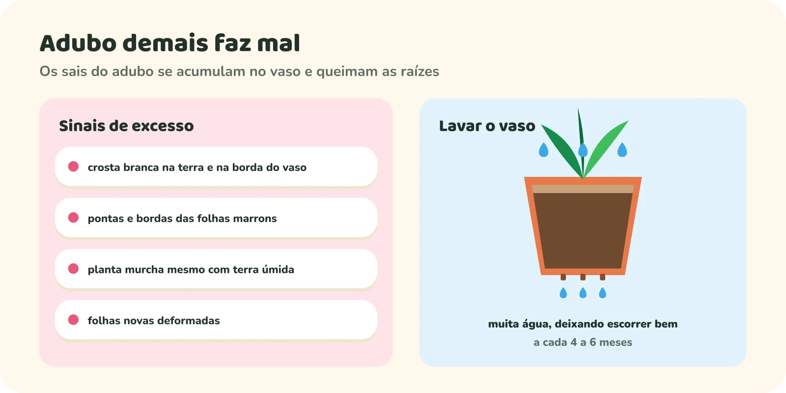 Sinais de excesso de adubo: crosta branca na terra e na borda do vaso; pontas e bordas das folhas marrons; planta murcha mesmo com terra úmida; folhas novas deformadas. Ao lado, um vaso sendo lavado com muita água, deixando escorrer bem pelo fundo, a cada 4 a 6 meses.