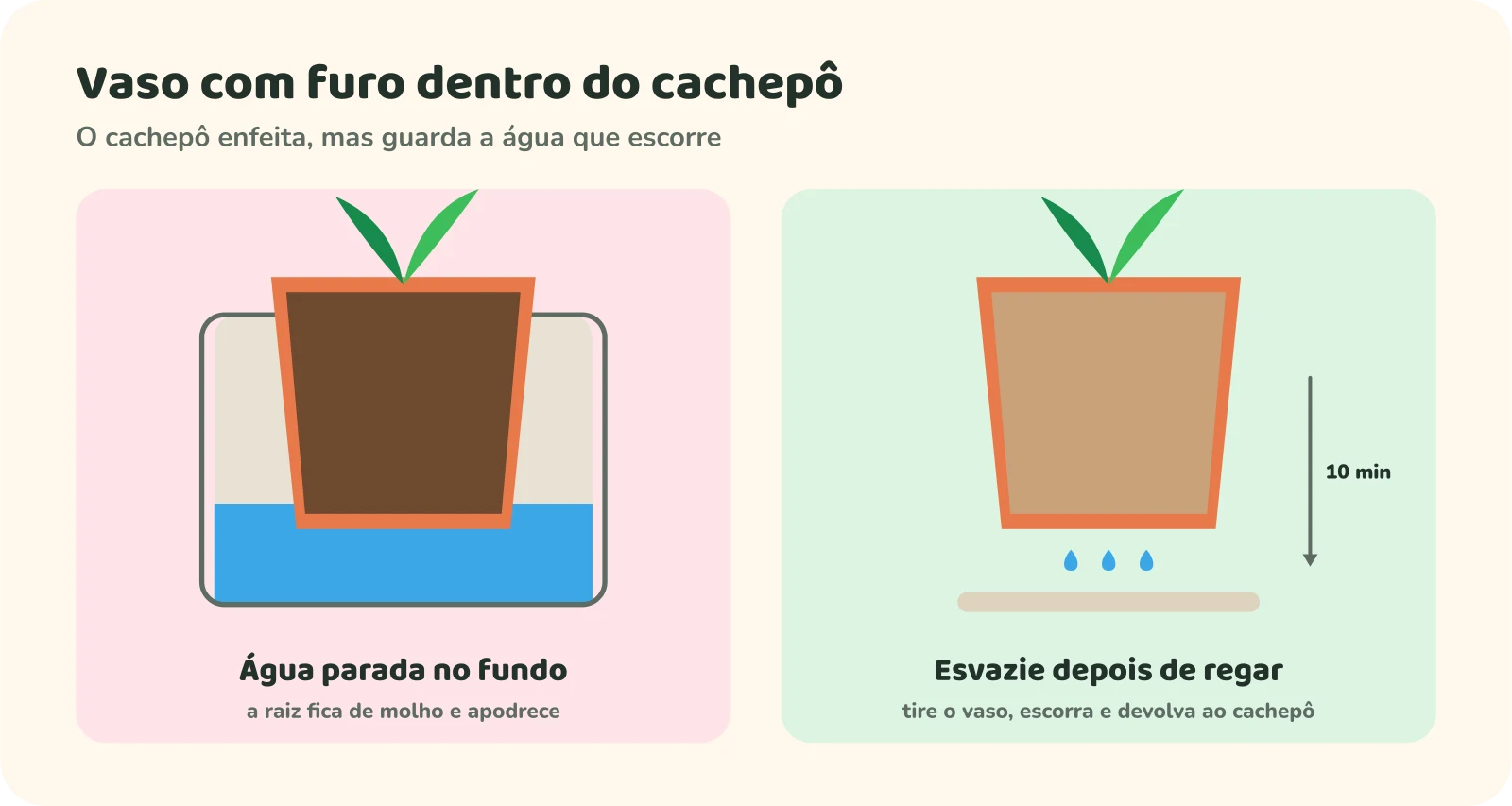 À esquerda, um vaso com furo dentro de um cachepô com água parada no fundo, deixando as raízes de molho. À direita, o mesmo vaso escorrendo a água por cerca de 10 minutos antes de voltar ao cachepô.