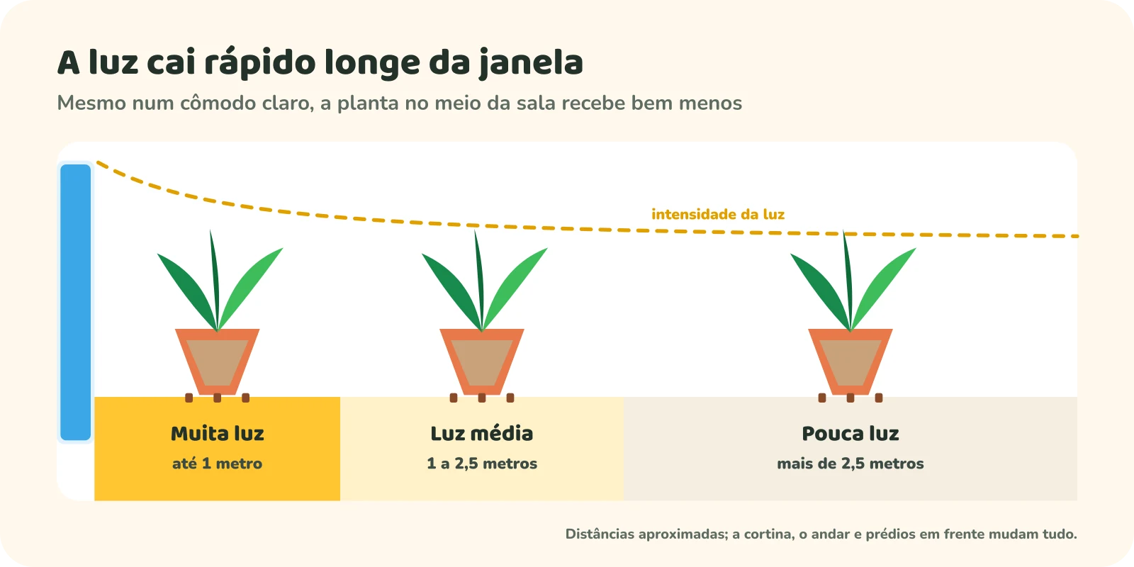 Corte de um cômodo com a janela à esquerda e três vasos em distâncias diferentes. Uma linha tracejada mostra a intensidade da luz caindo rápido logo depois da janela. Faixas: muita luz até 1 metro, luz média de 1 a 2,5 metros e pouca luz a mais de 2,5 metros.