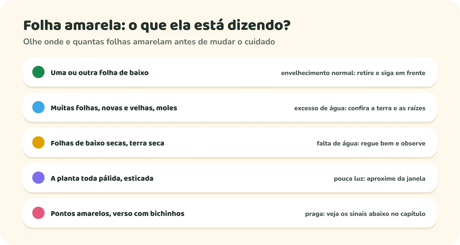 Tabela de sinais e causas da folha amarela. Uma ou outra folha de baixo: envelhecimento normal, retire e siga em frente. Muitas folhas, novas e velhas, moles: excesso de água, confira a terra e as raízes. Folhas de baixo secas e terra seca: falta de água, regue bem e observe. A planta toda pálida e esticada: pouca luz, aproxime da janela. Pontos amarelos e bichinhos no verso: praga.