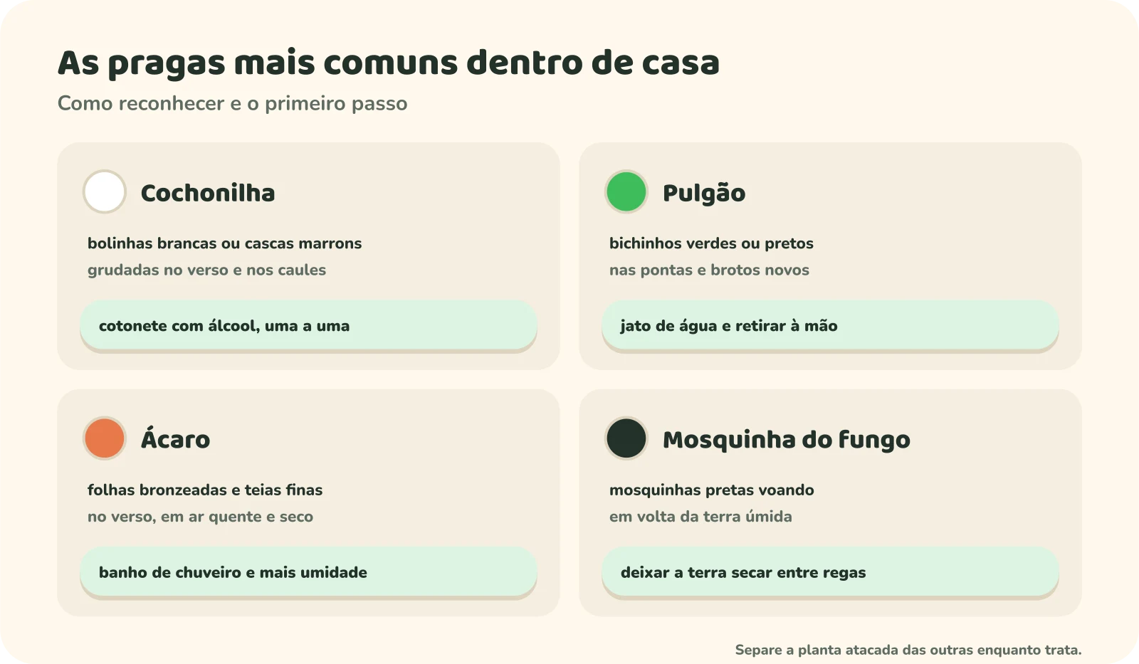 Quatro pragas comuns dentro de casa. Cochonilha: bolinhas brancas ou cascas marrons grudadas no verso e nos caules; primeiro passo, cotonete com álcool, uma a uma. Pulgão: bichinhos verdes ou pretos nas pontas e brotos novos; jato de água e retirar à mão. Ácaro: folhas bronzeadas e teias finas no verso, em ar quente e seco; banho de chuveiro e mais umidade. Mosquinha do fungo: mosquinhas pretas voando em volta da terra úmida; deixar a terra secar entre regas. Uma nota pede para separar a planta atacada das outras enquanto trata.