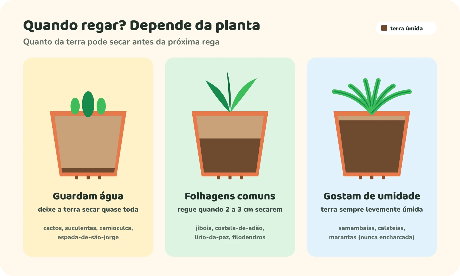 Três vasos em corte, cada um com uma faixa de terra úmida. À esquerda, plantas que guardam água, como cactos, suculentas, zamioculca e espada-de-são-jorge: a terra pode secar quase toda antes da rega. No meio, folhagens comuns, como jiboia, costela-de-adão, lírio-da-paz e filodendros: regue quando os 2 a 3 centímetros de cima secarem. À direita, plantas que gostam de umidade, como samambaias, calateias e marantas: a terra fica sempre levemente úmida, nunca encharcada.