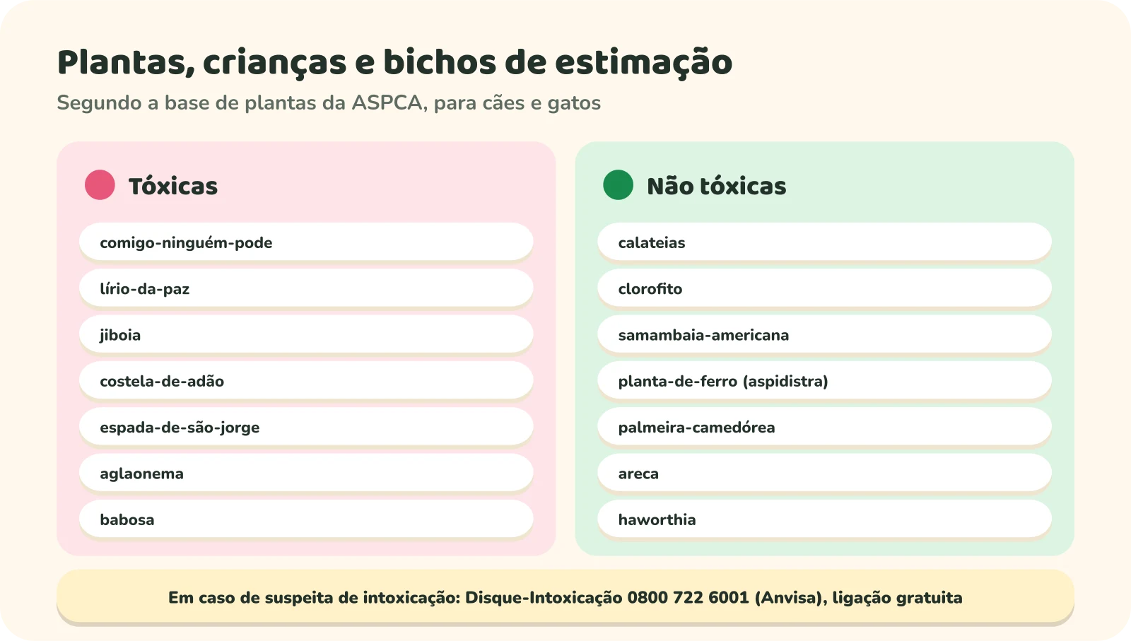 Duas colunas, segundo a base de plantas da ASPCA, para cães e gatos. Tóxicas: comigo-ninguém-pode, lírio-da-paz, jiboia, costela-de-adão, espada-de-são-jorge, aglaonema e babosa. Não tóxicas: calateias, clorofito, samambaia-americana, planta-de-ferro (aspidistra), palmeira-camedórea, areca e haworthia. Embaixo: em caso de suspeita de intoxicação, Disque-Intoxicação 0800 722 6001, da Anvisa, ligação gratuita.