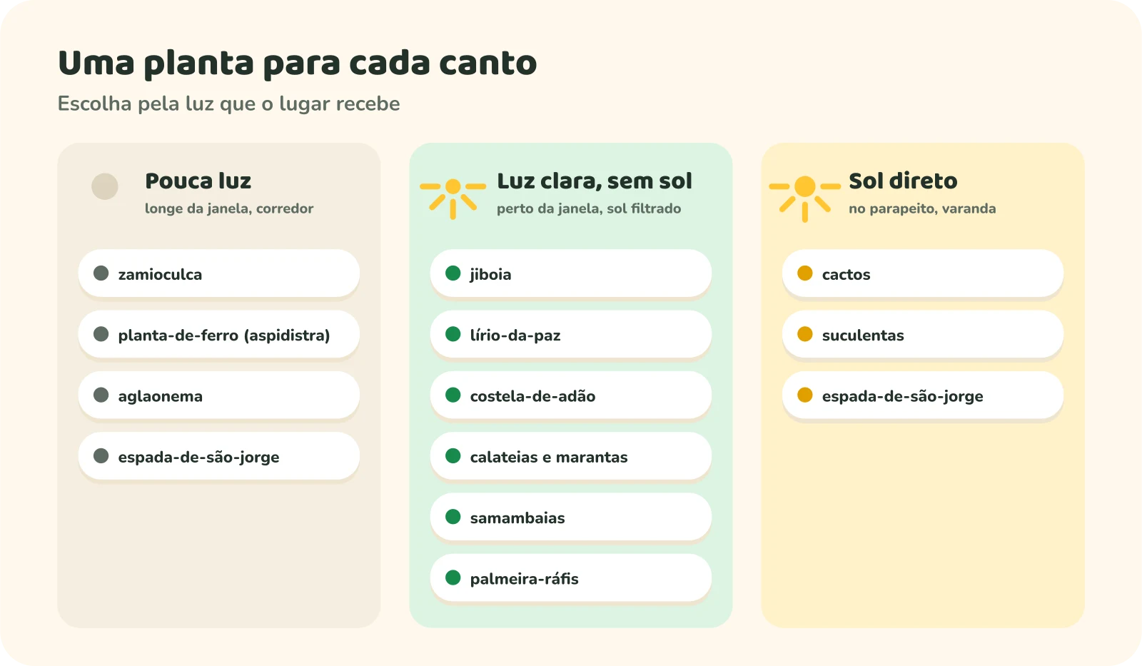 Três colunas de plantas organizadas pela luz. Pouca luz, longe da janela ou no corredor: zamioculca, planta-de-ferro (aspidistra), aglaonema e espada-de-são-jorge. Luz clara, sem sol, perto da janela com sol filtrado: jiboia, lírio-da-paz, costela-de-adão, calateias e marantas, samambaias e palmeira-ráfis. Sol direto, no parapeito ou na varanda: cactos, suculentas e espada-de-são-jorge.