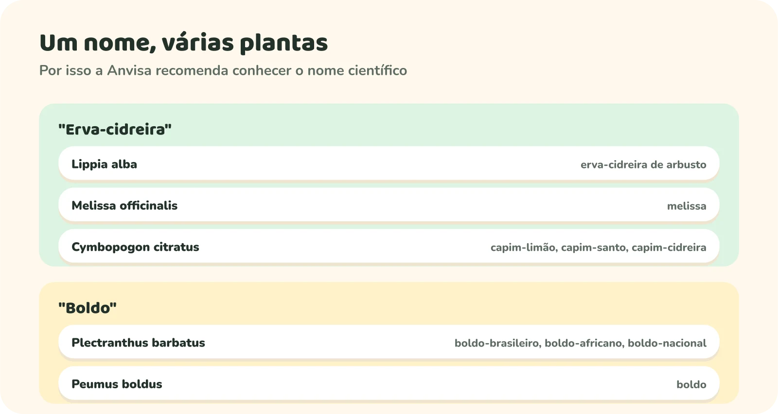 Dois grupos de nomes. Erva-cidreira: Lippia alba, a erva-cidreira de arbusto; Melissa officinalis, a melissa; e Cymbopogon citratus, chamado de capim-limão, capim-santo e capim-cidreira. Boldo: Plectranthus barbatus, o boldo-brasileiro, africano ou nacional; e Peumus boldus, o boldo.