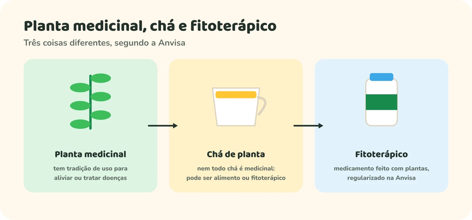 Três quadros ligados por setas. Planta medicinal: tem tradição de uso para aliviar ou tratar doenças. Chá de planta: nem todo chá é medicinal; pode ser alimento ou fitoterápico. Fitoterápico: medicamento feito com plantas, regularizado na Anvisa.