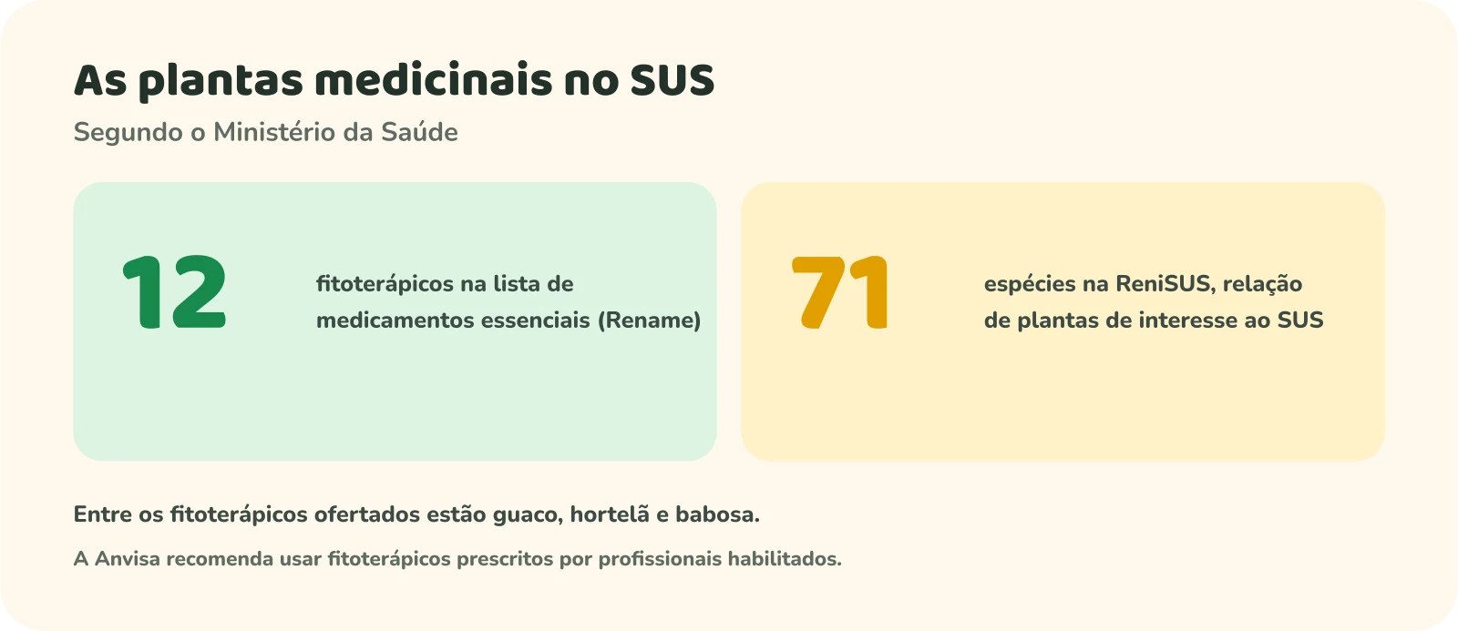 Dois números. 12 fitoterápicos na lista de medicamentos essenciais, a Rename. 71 espécies na ReniSUS, a relação de plantas de interesse ao SUS. Notas: entre os fitoterápicos ofertados estão guaco, hortelã e babosa; a Anvisa recomenda usar fitoterápicos prescritos por profissionais habilitados.