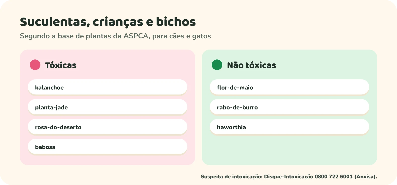 Duas colunas, segundo a base de plantas da ASPCA, para cães e gatos. Tóxicas: kalanchoe, planta-jade, rosa-do-deserto e babosa. Não tóxicas: flor-de-maio, rabo-de-burro e haworthia. Embaixo: suspeita de intoxicação, Disque-Intoxicação 0800 722 6001, da Anvisa.
