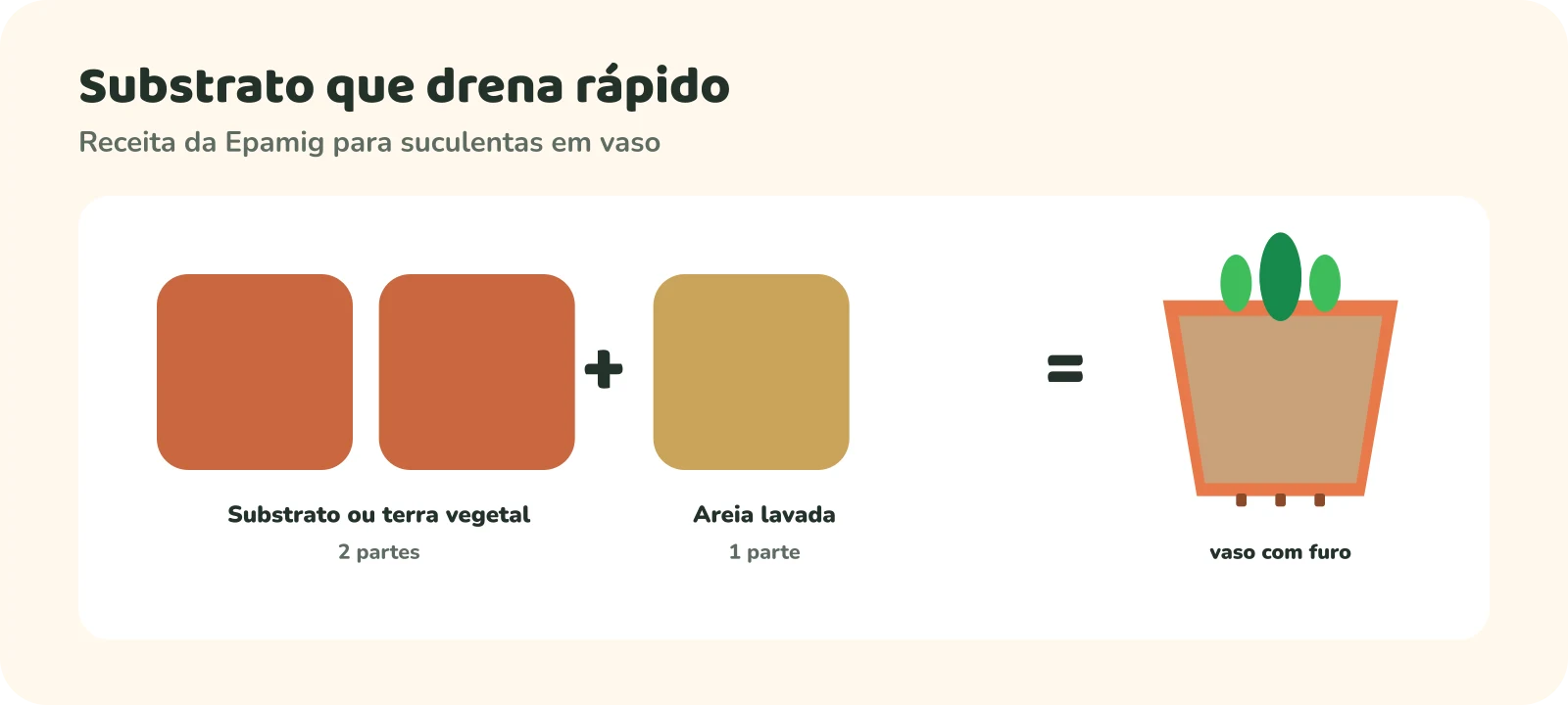 Receita de substrato para suculentas: duas partes de substrato ou terra vegetal mais uma parte de areia lavada, num vaso com furo.